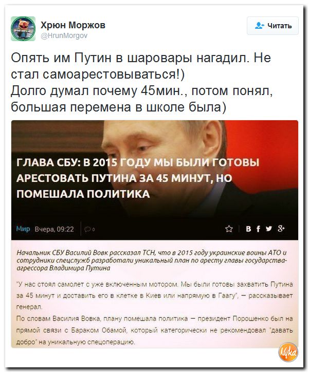 "Мыздобулы" в картинках. Смешных и не очень... 13-12-2016 "Мыздобулы" в картинках. Смешных и не очень... 13-12-2016