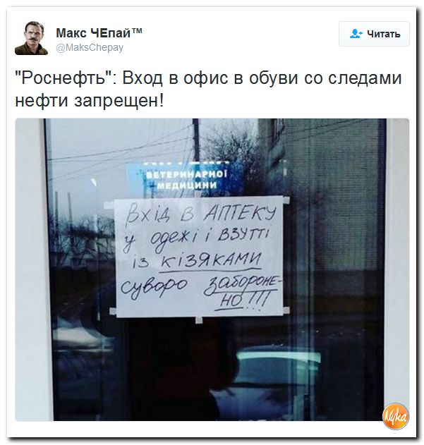 "Мыздобулы" в картинках. Смешных и не очень... 13-12-2016 "Мыздобулы" в картинках. Смешных и не очень... 13-12-2016