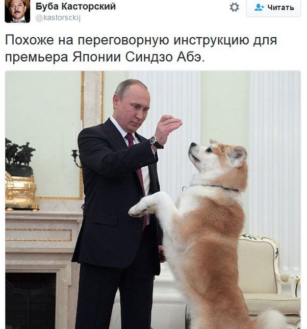 "Мыздобулы" в картинках. Смешных и не очень... 13-12-2016 "Мыздобулы" в картинках. Смешных и не очень... 13-12-2016