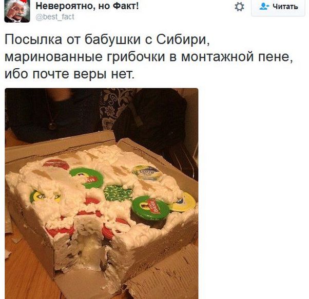 "Мыздобулы" в картинках. Смешных и не очень... 13-12-2016 "Мыздобулы" в картинках. Смешных и не очень... 13-12-2016