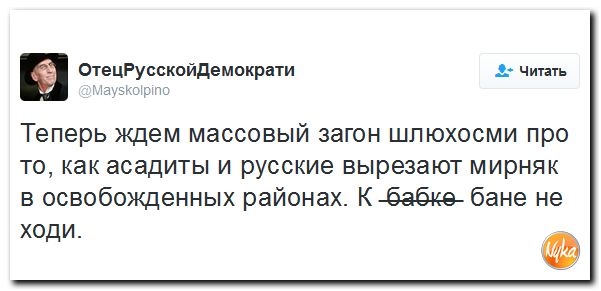 "Мыздобулы" в картинках. Смешных и не очень... 13-12-2016 "Мыздобулы" в картинках. Смешных и не очень... 13-12-2016