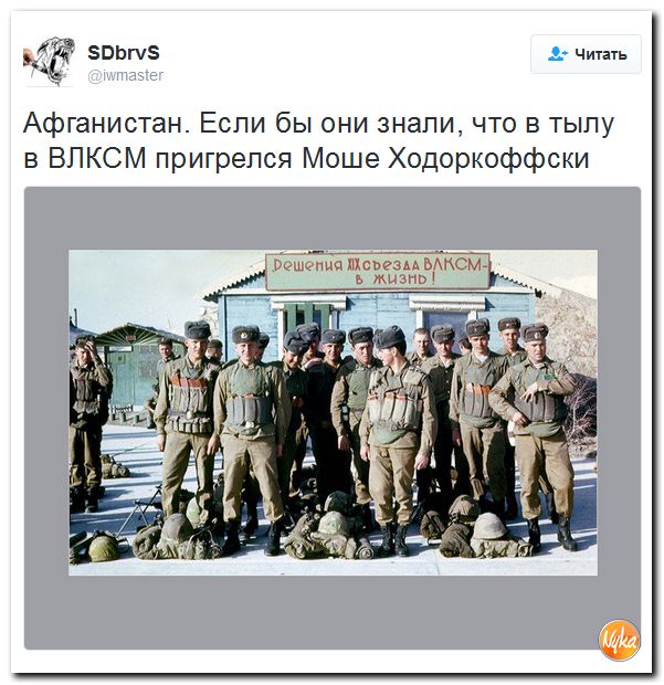 "Мыздобулы" в картинках. Смешных и не очень... 13-12-2016 "Мыздобулы" в картинках. Смешных и не очень... 13-12-2016