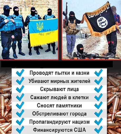 "Мыздобулы" в картинках. Смешных и не очень... 13-12-2016 "Мыздобулы" в картинках. Смешных и не очень... 13-12-2016