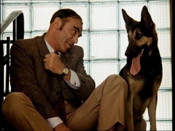 Суд арестовал имущество Улюкаева. Три портсигара... Куртка... Три куртки... Суд арестовал имущество Улюкаева. Три портсигара... Куртка... Три куртки...