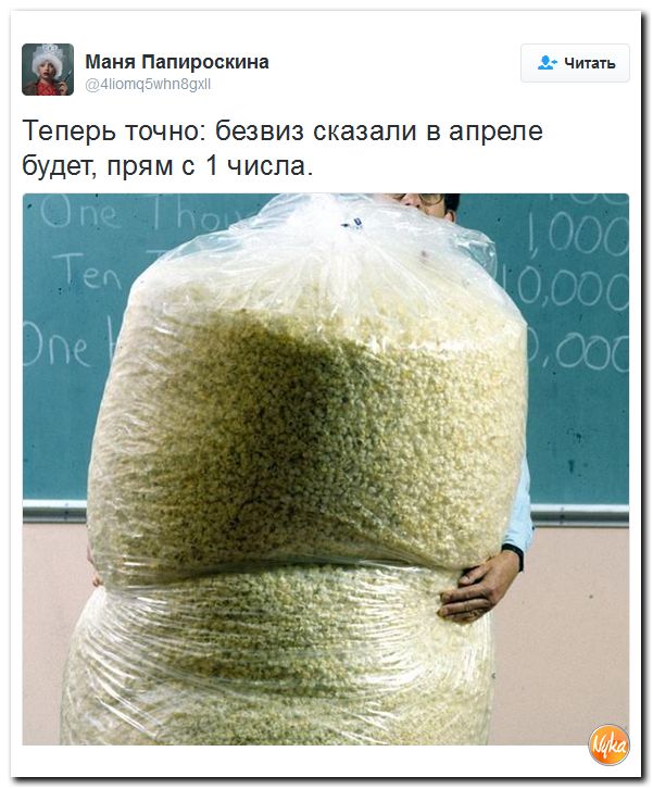 "Мыздобулы" в картинках. Смешных и не очень... 17-12-2016