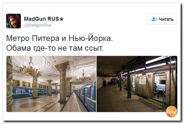 "Мыздобулы" в картинках. Смешных и не очень... 17-12-2016