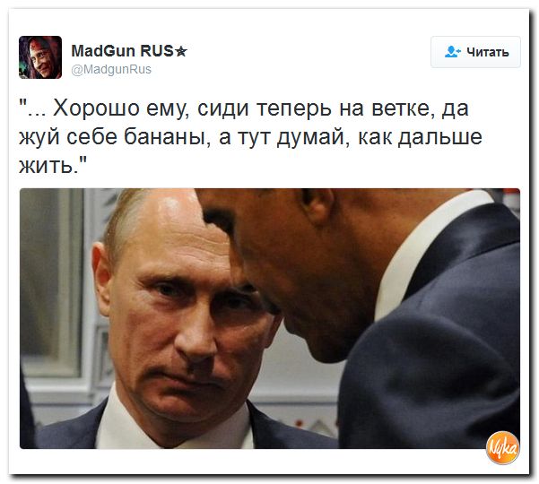 "Мыздобулы" в картинках. Смешных и не очень... 17-12-2016