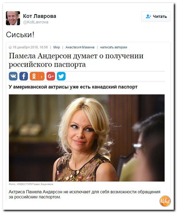 "Мыздобулы" в картинках. Смешных и не очень... 17-12-2016