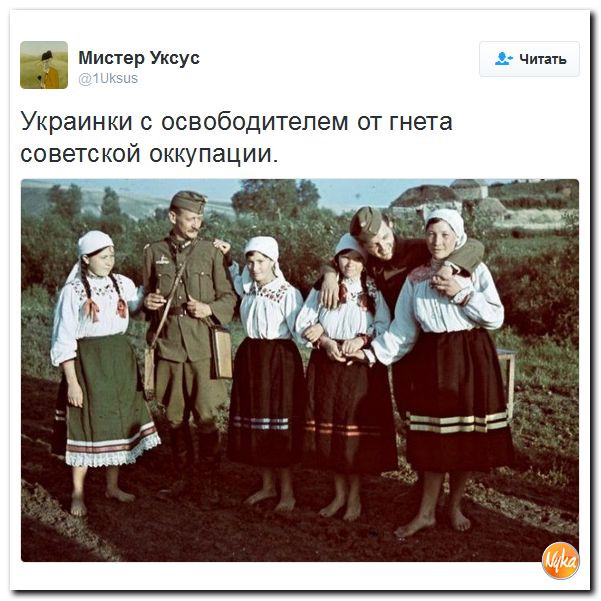 "Мыздобулы" в картинках. Смешных и не очень... 17-12-2016