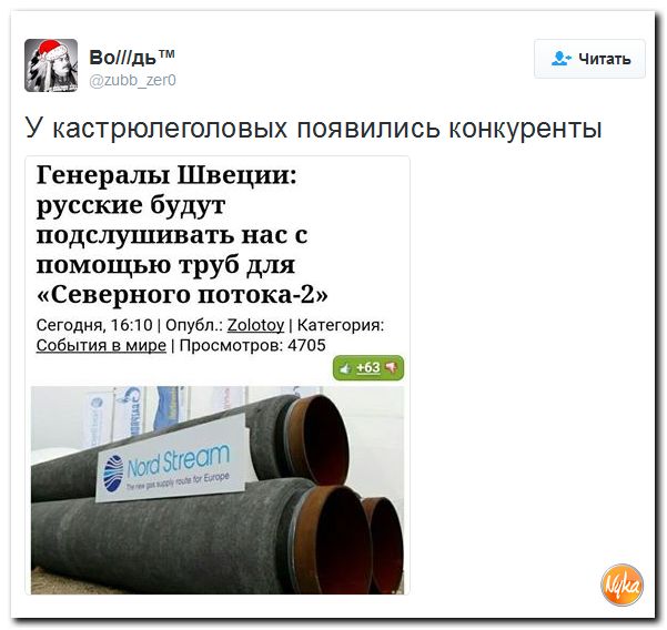 "Мыздобулы" в картинках. Смешных и не очень... 17-12-2016