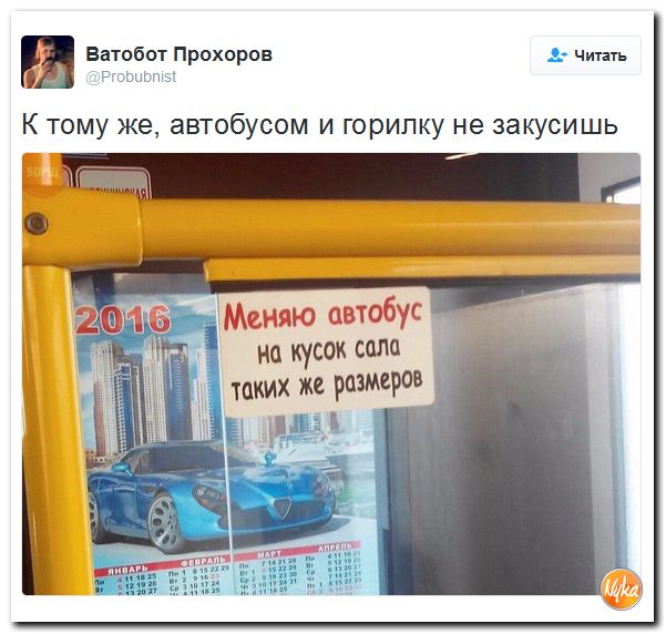 "Мыздобулы" в картинках. Смешных и не очень... 17-12-2016