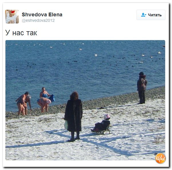 "Мыздобулы" в картинках. Смешных и не очень... 17-12-2016