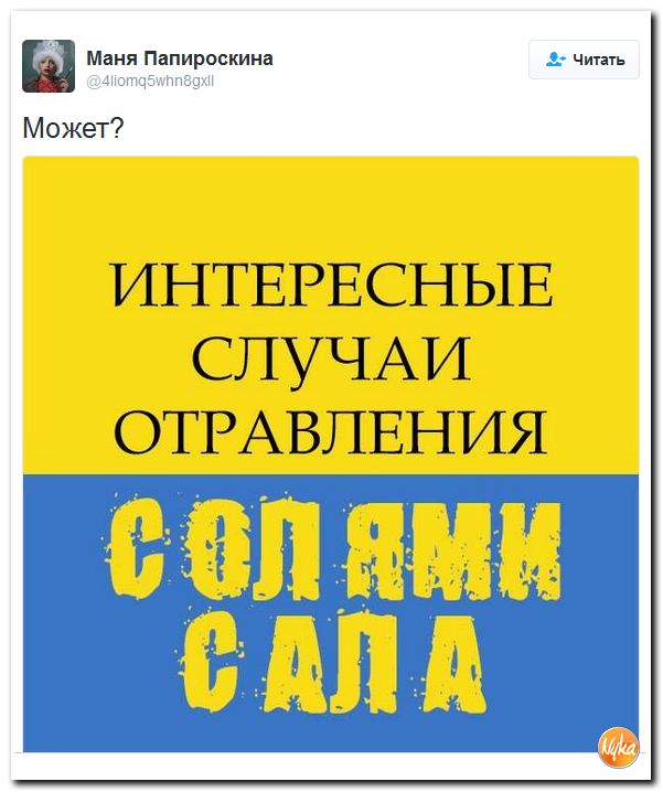 "Мыздобулы" в картинках. Смешных и не очень... 17-12-2016