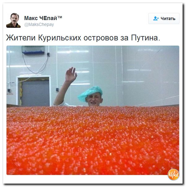 "Мыздобулы" в картинках. Смешных и не очень... 17-12-2016