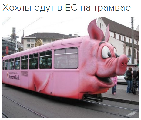 "Мыздобулы" в картинках. Смешных и не очень... 17-12-2016