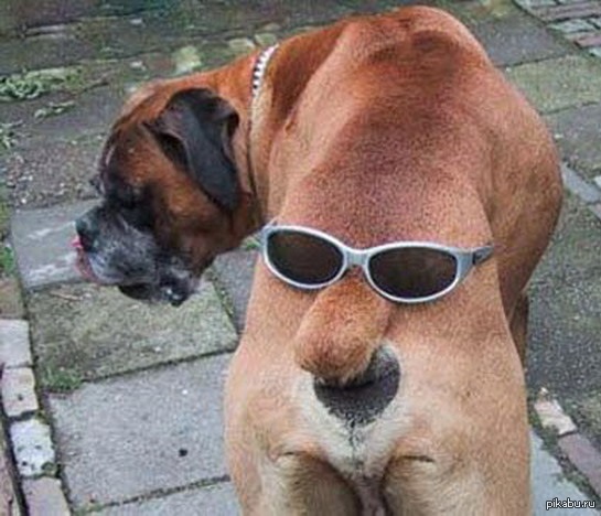 «Очень большой» евроноль поддержки