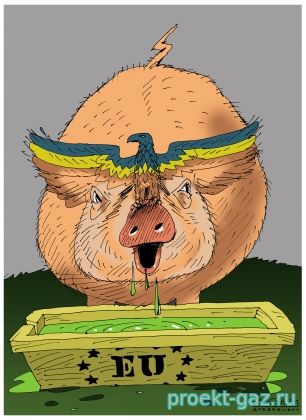 «Украине надо отбросить иллюзии об экспорте газа»