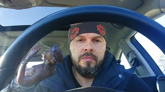 Рассерженный немец: Добро пожаловать в капиталистический фашизм! [Голос Германии]