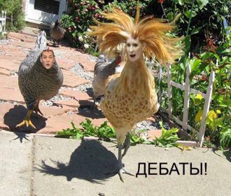 2017-й: кого «отпетушат», кого не очень, посмотрим... Владимир Скачко