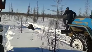 В сети появилось видео допроса подозреваемого в убийстве медведя в Якутии