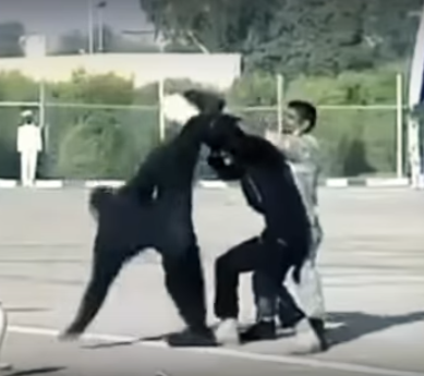 Иранский спецназ проиграл битву с кувшином