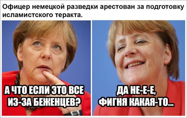 "Мыздобулы" в картинках. Смешных и не очень... 30-11-2016