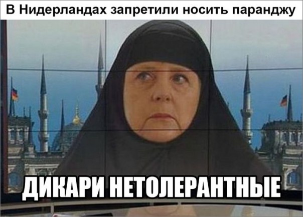 "Мыздобулы" в картинках. Смешных и не очень... 30-11-2016