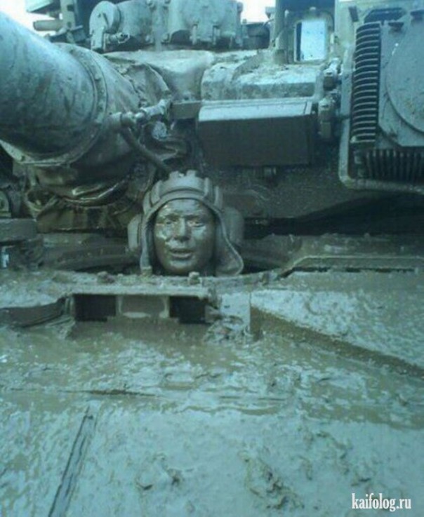 "Мыздобулы" в картинках. Смешных и не очень... 30-11-2016