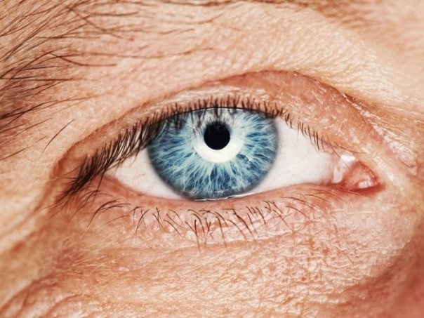 Российские учёные вырастили из перепрограммированных клеток сетчатку глаза человека для Российские учёные вырастили из перепрограммированных клеток сетчатку глаза человека для