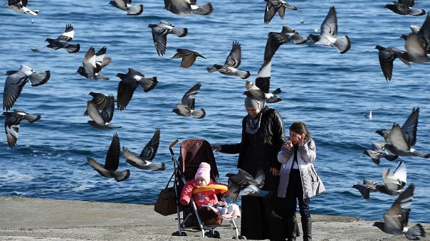Круглый стол: "Нарушение прав человека в Крыму" Круглый стол: "Нарушение прав человека в Крыму"