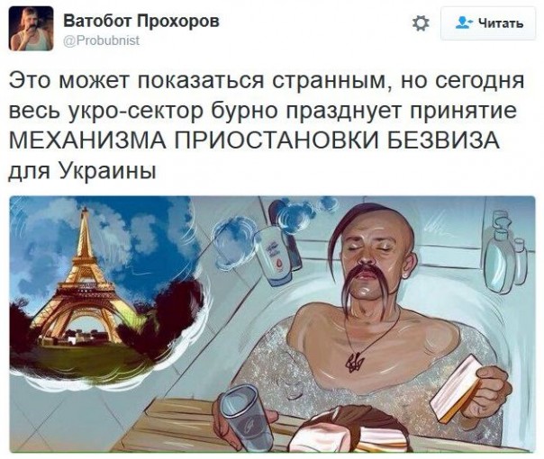 "Мыздобулы" в картинках. Смешных и не очень... 10-12-2016 "Мыздобулы" в картинках. Смешных и не очень... 10-12-2016