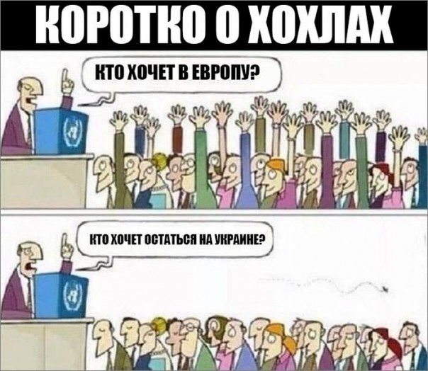 "Мыздобулы" в картинках. Смешных и не очень... 10-12-2016 "Мыздобулы" в картинках. Смешных и не очень... 10-12-2016