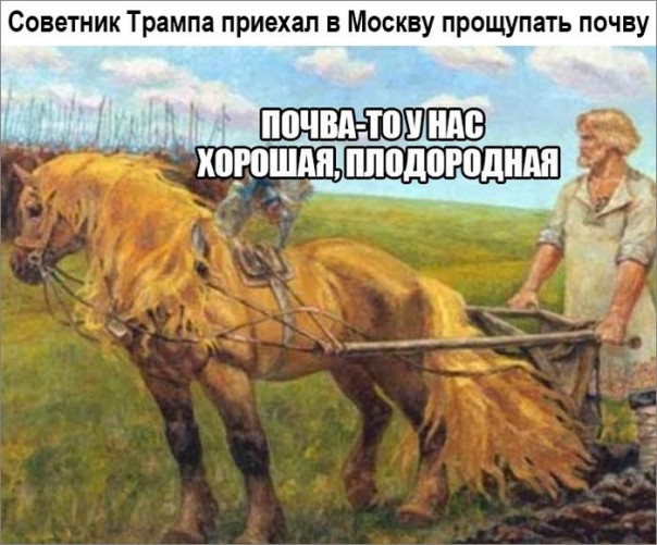 "Мыздобулы" в картинках. Смешных и не очень... 10-12-2016 "Мыздобулы" в картинках. Смешных и не очень... 10-12-2016