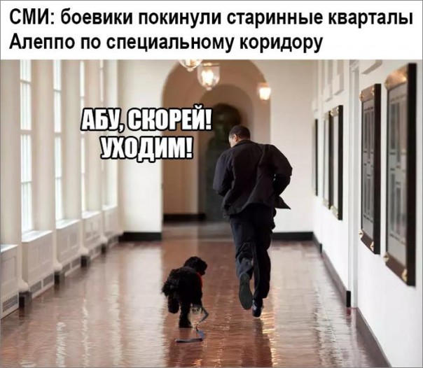 "Мыздобулы" в картинках. Смешных и не очень... 10-12-2016 "Мыздобулы" в картинках. Смешных и не очень... 10-12-2016