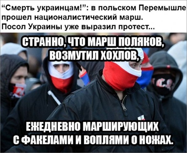 "Мыздобулы" в картинках. Смешных и не очень... 13-12-2016 "Мыздобулы" в картинках. Смешных и не очень... 13-12-2016