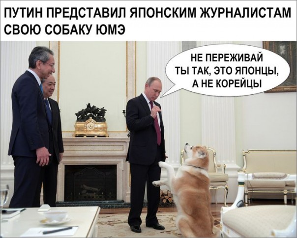 "Мыздобулы" в картинках. Смешных и не очень... 13-12-2016 "Мыздобулы" в картинках. Смешных и не очень... 13-12-2016