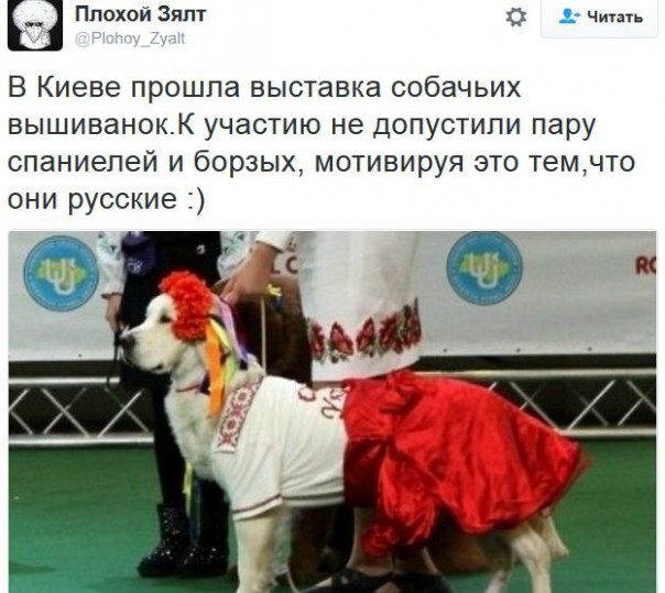 "Мыздобулы" в картинках. Смешных и не очень... 13-12-2016 "Мыздобулы" в картинках. Смешных и не очень... 13-12-2016