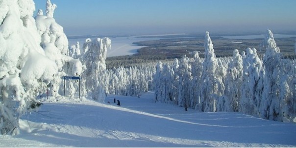 Норвежцы прогоняют русских паралимпийцев