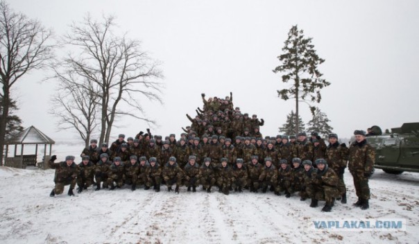 Дольф Лундгрен не прочь купить квартиру в Минске и рассказал правду о Стивене Сигале