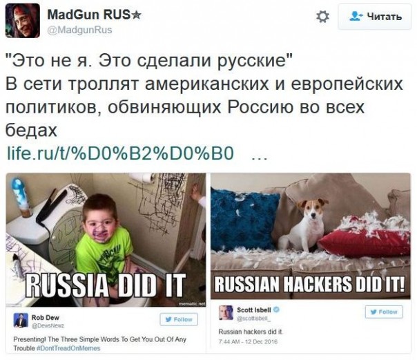 "Мыздобулы" в картинках. Смешных и не очень... 16-12-2016