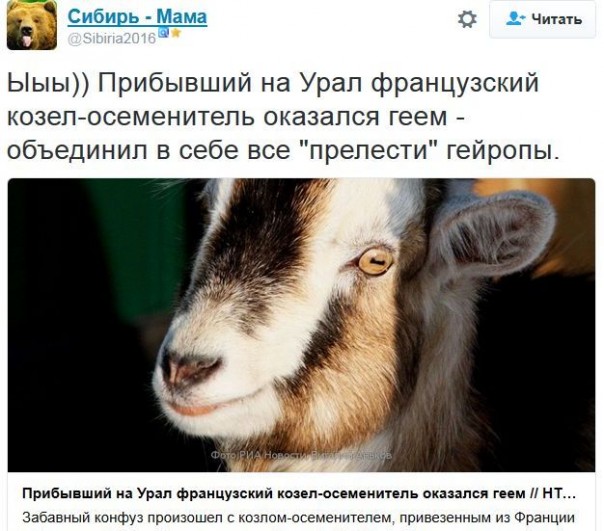 "Мыздобулы" в картинках. Смешных и не очень... 16-12-2016