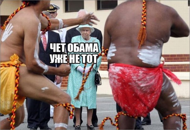 "Мыздобулы" в картинках. Смешных и не очень... 17-12-2016