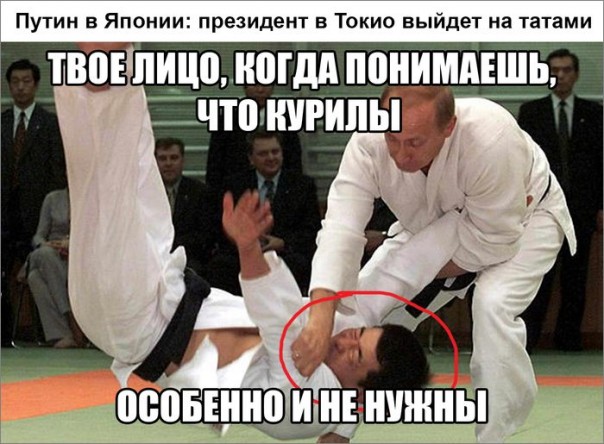 "Мыздобулы" в картинках. Смешных и не очень... 17-12-2016