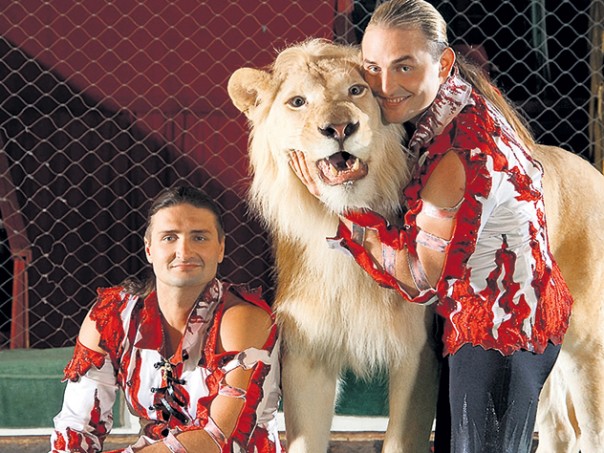 Дрессура или истязание? По миру идёт волна запретов аттракционов с животными