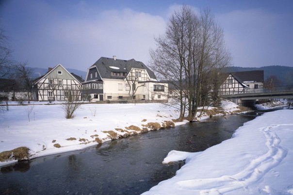 Родители с 10 детьми бежали из Германии в Сибирь из-за уроков сексуального просвещения