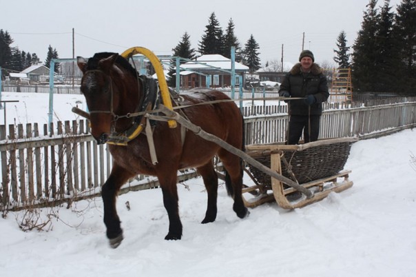 Родители с 10 детьми бежали из Германии в Сибирь из-за уроков сексуального просвещения