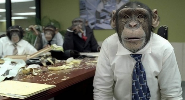 Мартышкин труд: санкционная борьба США продолжается