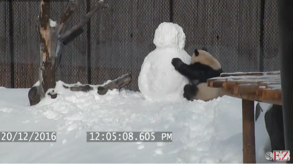 Кунг Фу панда против снеговика
