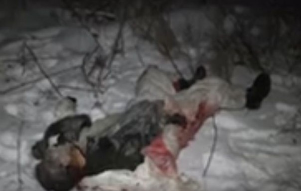 Позывной «Джон»: Четыре дня боёв под Дебальцево Позывной «Джон»: Четыре дня боёв под Дебальцево