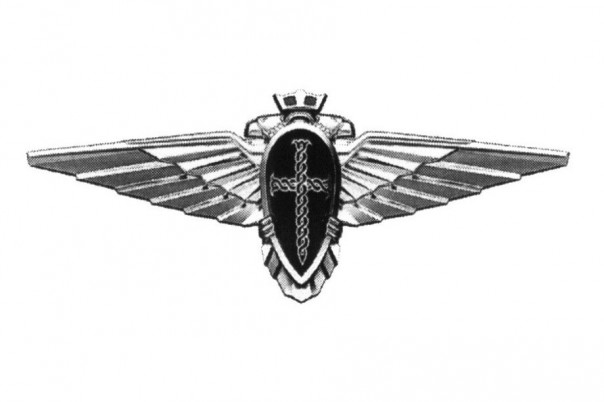 На автомобилях проекта "Кортеж" появится эмблема со щитом и мечом На автомобилях проекта "Кортеж" появится эмблема со щитом и мечом